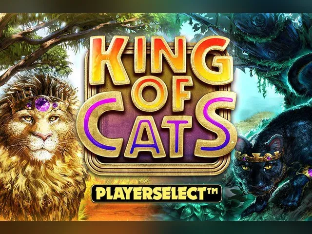 King of Cats